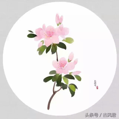 【杜鹃】
闲折二枝持在手，细看不似人间有；
花中此物是西施，鞭蓉芍药皆嫫母。
杜鹃花又名映山红，它风姿绝艳，灿若云锦，令人眩目，有花中西施之美誉。
它唤起人们对生活热烈美好的感情，更是自强不息，生命力…