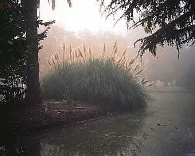 欧美
背景