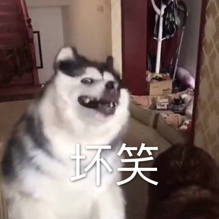 嘻嘻哈哈哈