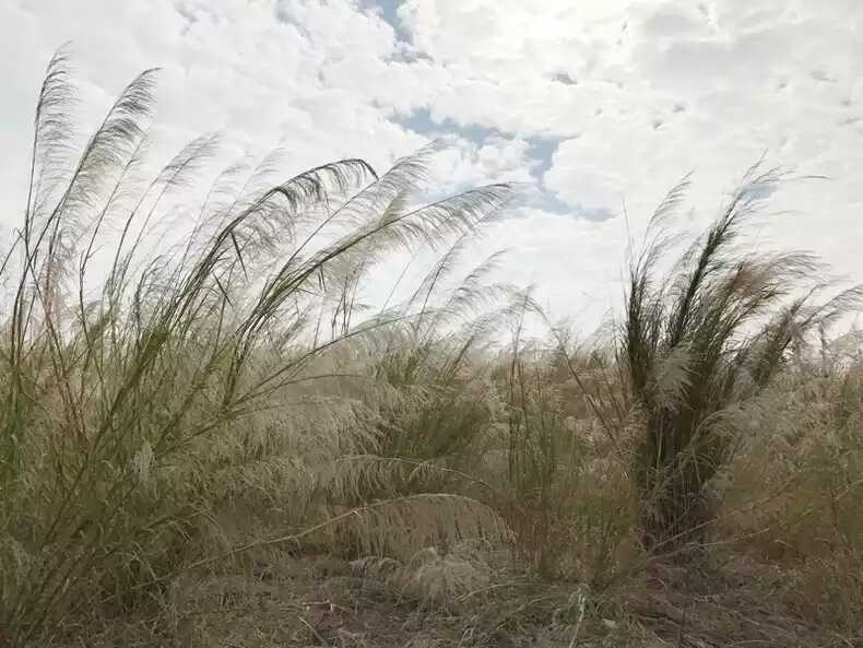 欧美
背景