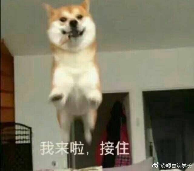 我来啦