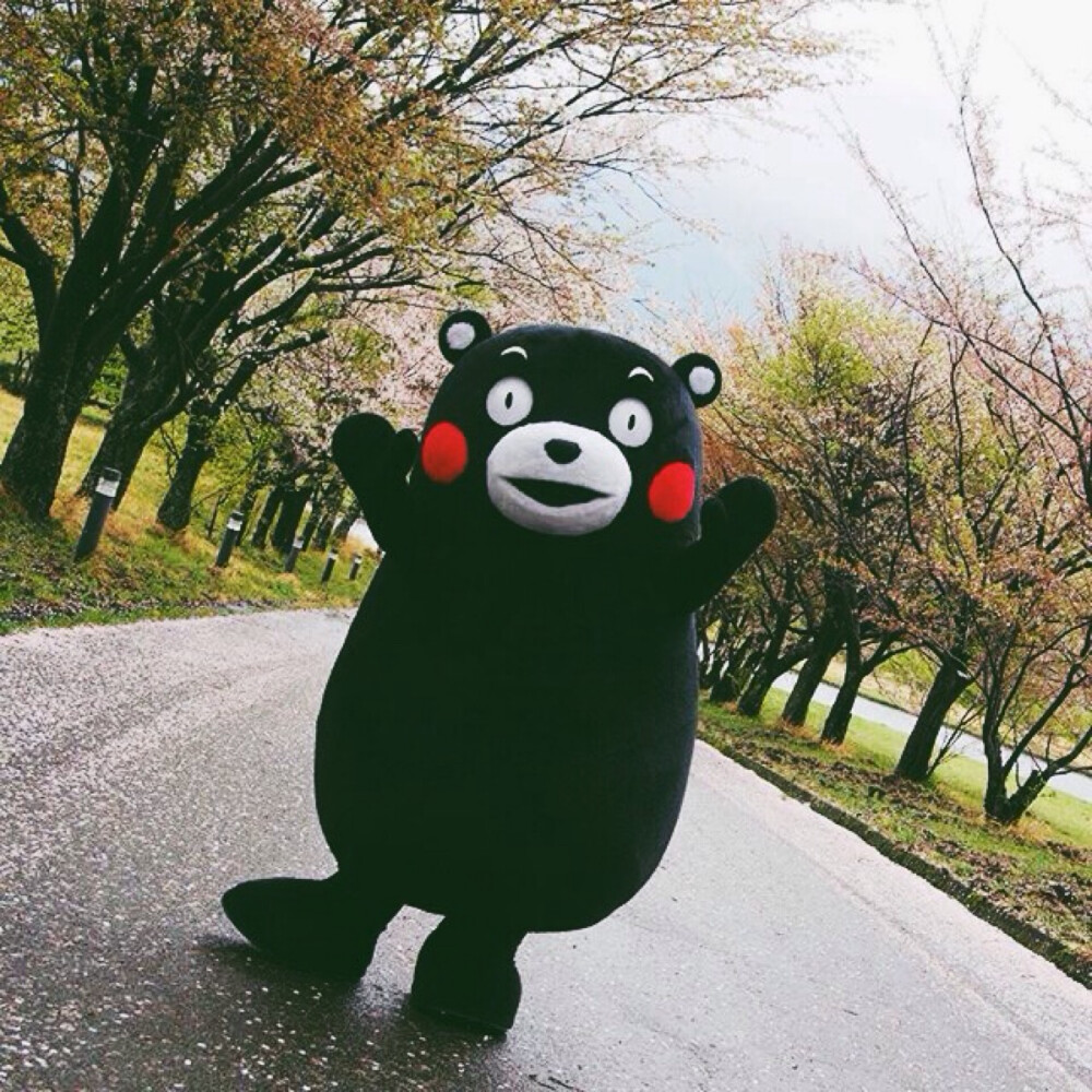 kumamon