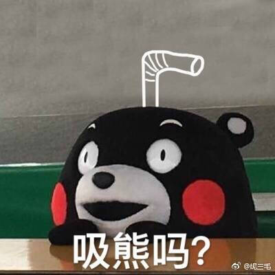 kumamon