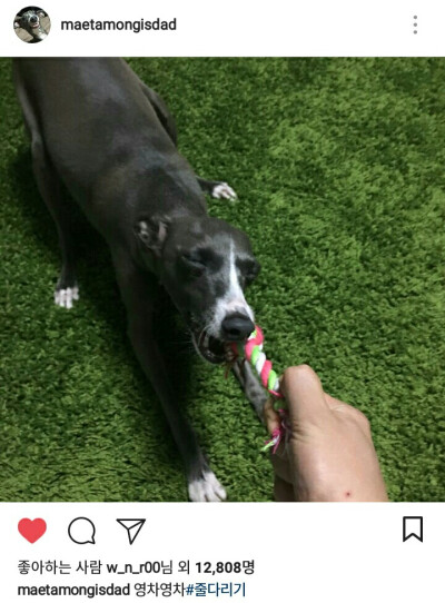 Haute -Insta ID #maetamongisdad# #INS更新# #李次长儿子李奥拓#
?????.
?.