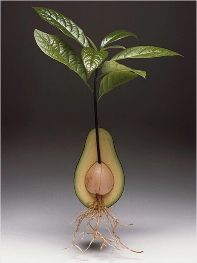 你的美丽是由内而外散发出迷人光彩