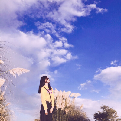 单人情头by染墨坊