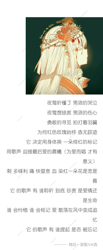 “那个女孩说，只要我送她一朵红色的玫瑰，她就和我跳舞”一位男孩如是说。