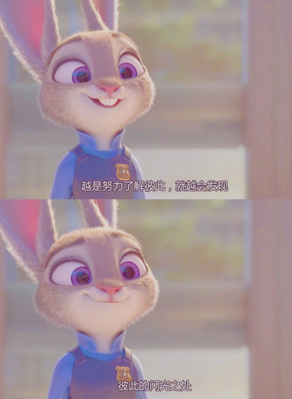 疯狂动物城 朱迪 - 堆糖，美图壁纸兴趣社区