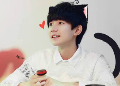 roywang王源 可爱 猫 安静白衣男子