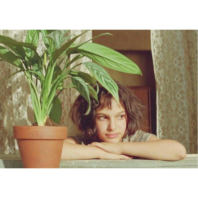 情头
这个杀手不太冷