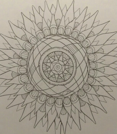 对你的爱，我无法表达，于是，就像向日葵，每天默默的追逐着太阳。