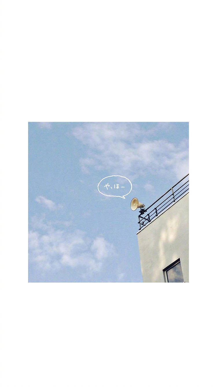 猪精少女 不定期更新