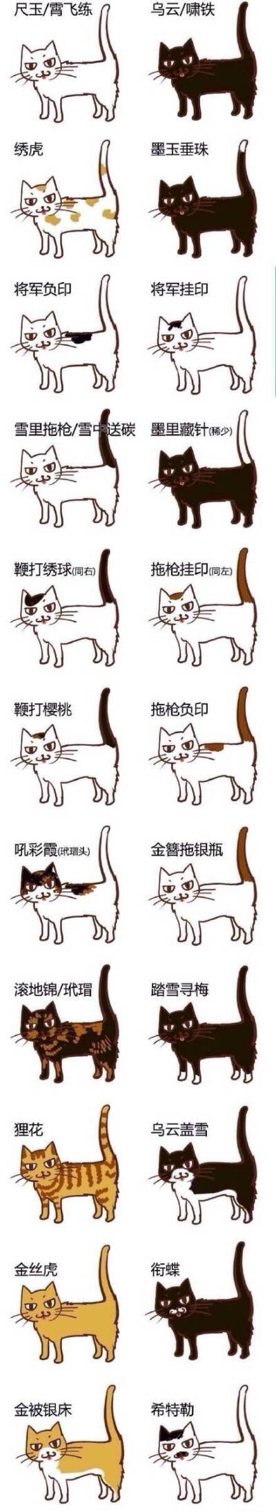 古代对猫花色的美称
