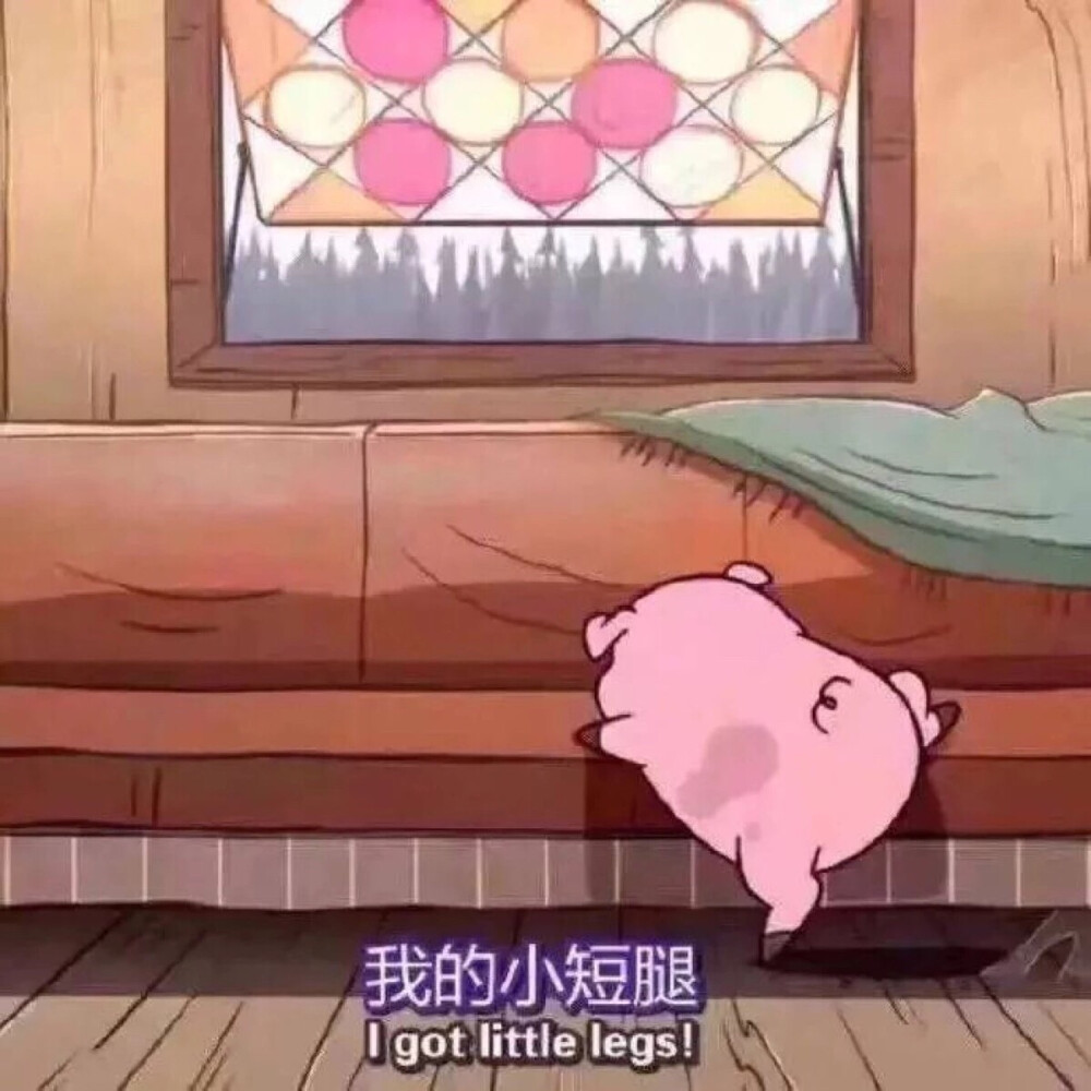 我的小短腿