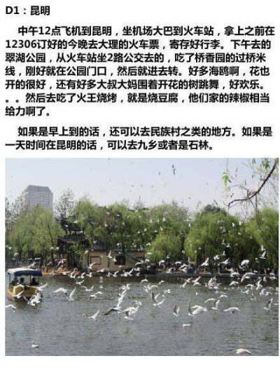 【云南背包疯玩12天攻略】
关于游云南各地物品准备 住宿 交通以及注意事项
从昆明——大理——丽江——泸沽湖——罗平（香格里拉）为期12天的旅行记录
大家可以参考攻略计划自己的云南游 mark