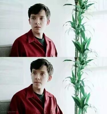 Asa Butterfield