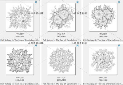 简约花朵花束植物白描线稿填色图案插画AI矢量设计素材ai271