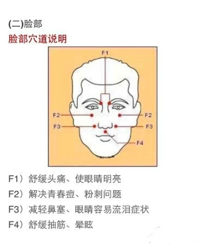 人体穴道图，脸部