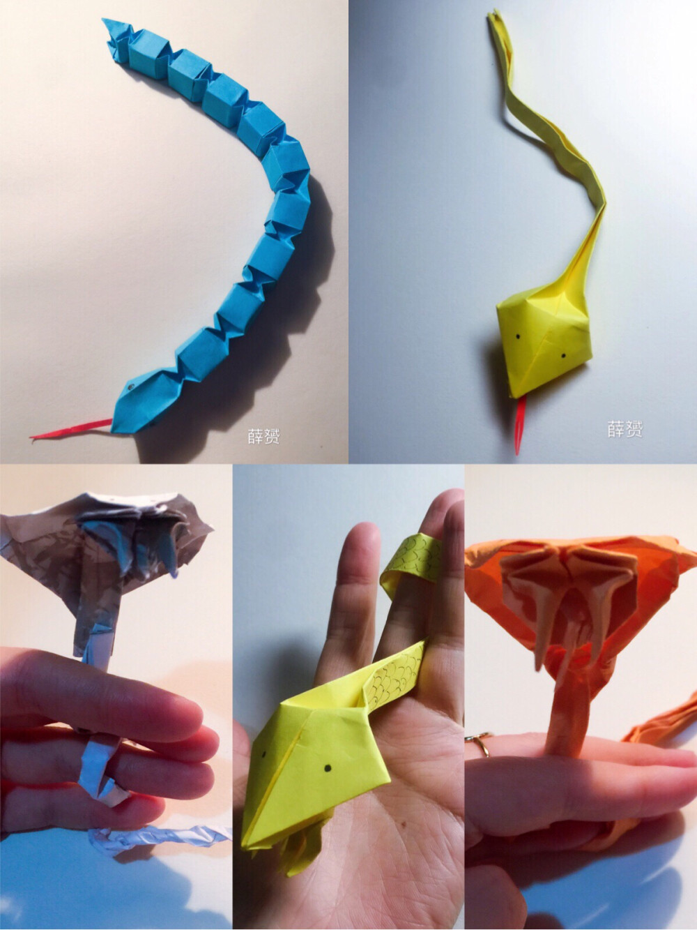 我折得蛇 - 堆糖,美图壁纸兴趣社区