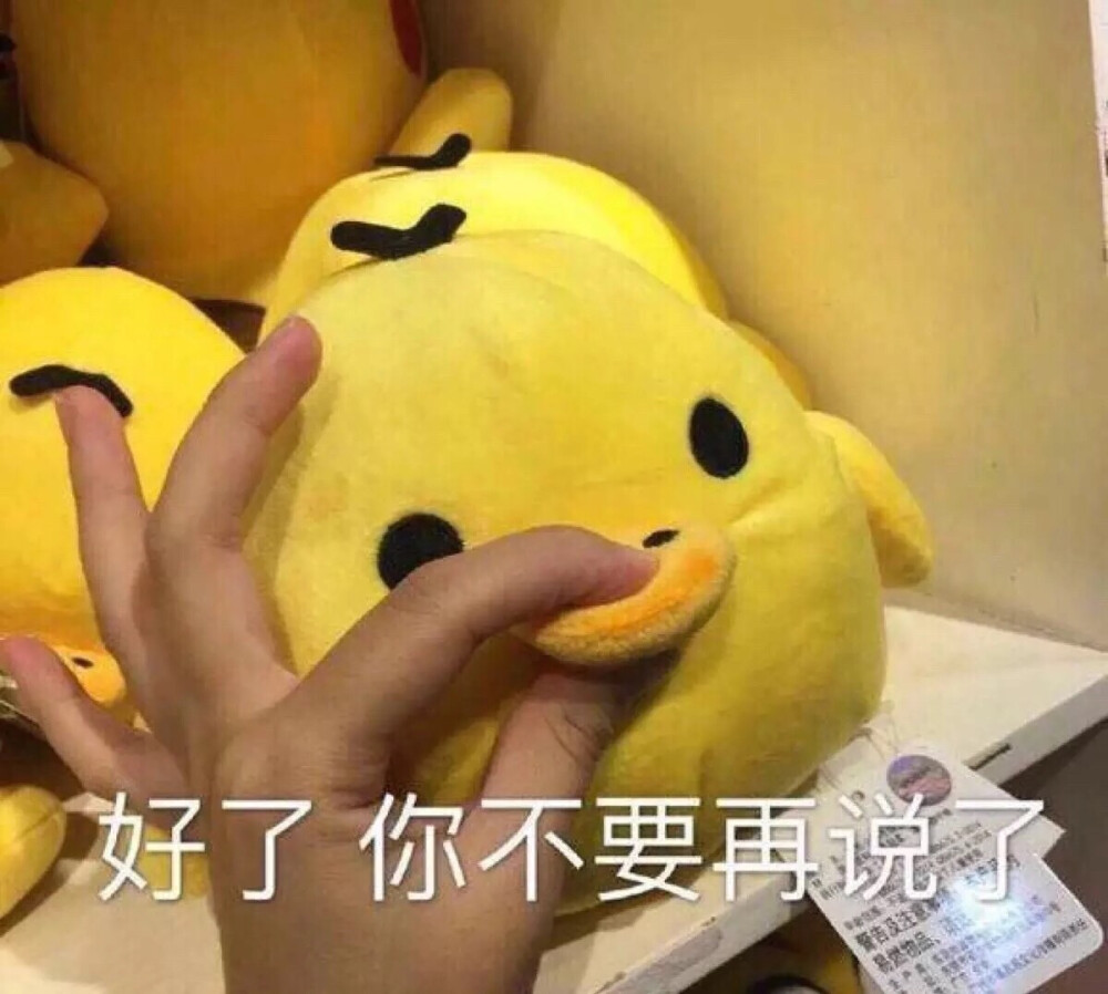 不要说了