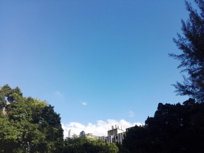 最近天气真的很好