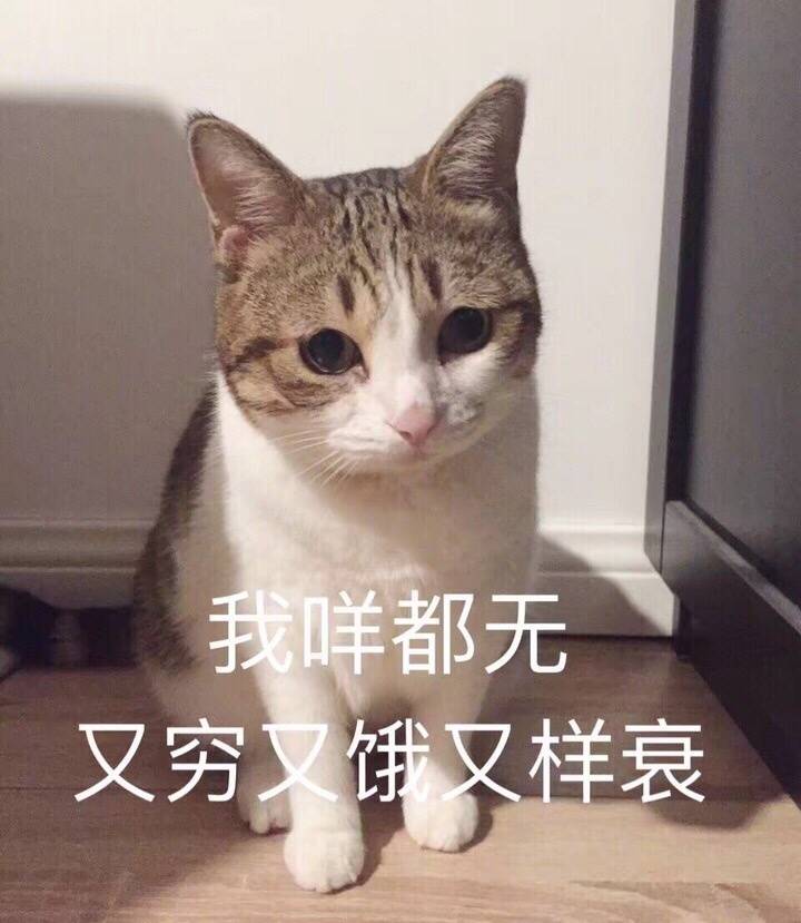 瓜皮