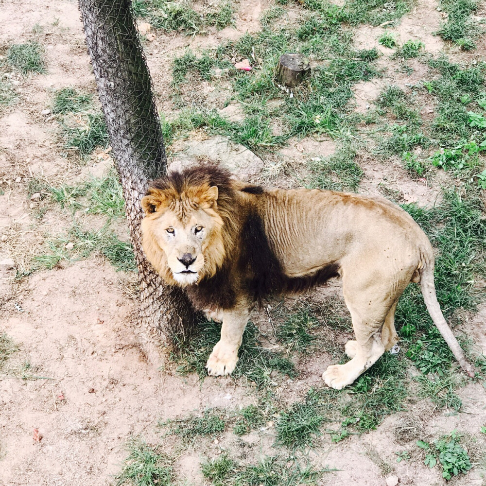 你在看我吗