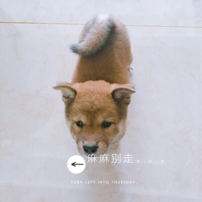 可怜的宝宝。我上班了，孩子就这么看着我