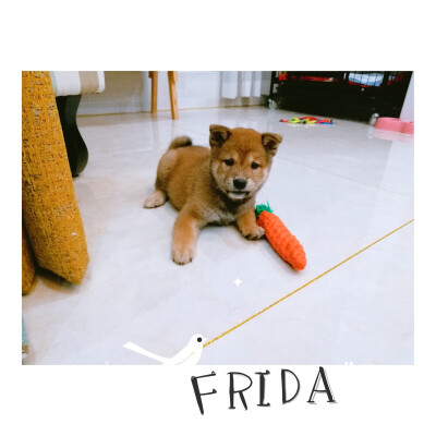 麻麻，我可爱吗