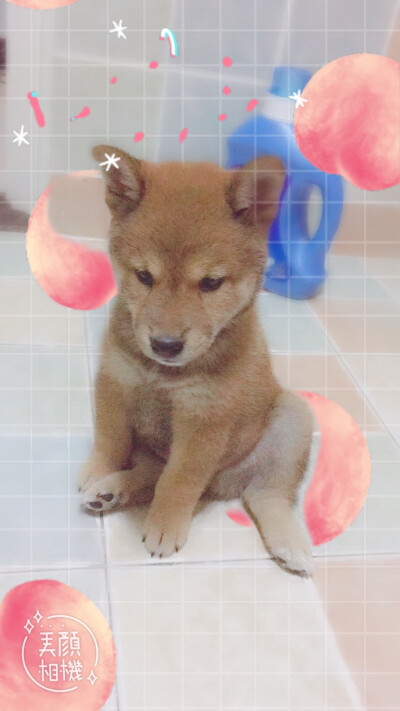 上厕所也要看着我。