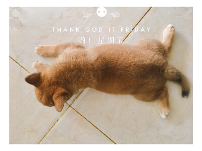 只有睡觉时候可爱。