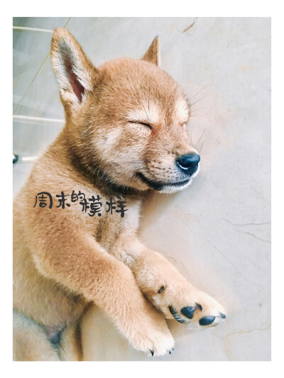 还微笑呢？做什么好梦了！