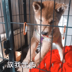 一个慵懒的下午