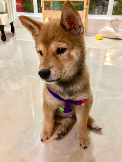 大家看我们是不是长大啦