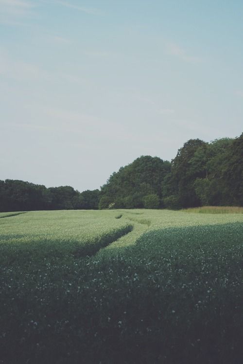 摄影~photography 旅途的风景