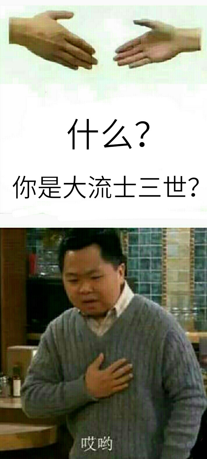 _(:з」∠)_什么，你/大流士三世/表情包/其实我们一样