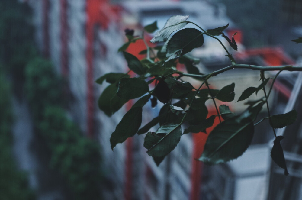 ᴘʜᴏᴛᴏ ʙʏ ᴍᴇʀʀʏᴀʀʏ
ᴡɪᴛʜ ᴘᴇɴᴛᴀx
2⃞0⃞1⃞7⃞.1⃞0⃞.0⃞3⃞
ʀᴀɪɴɪɴɢ ᴀʟʟ ᴅᴀʏ