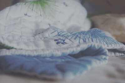 ᴘʜᴏᴛᴏ ʙʏ ᴍᴇʀʀʏᴀʀʏ
ᴡɪᴛʜ ᴘᴇɴᴛᴀx
2⃞0⃞1⃞7⃞.1⃞0⃞.0⃞3⃞
ʀᴀɪɴɪɴɢ ᴀʟʟ ᴅᴀʏ