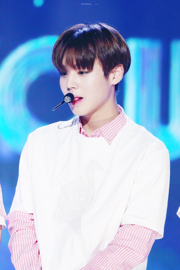 男版produce101wannaone朴志训crlogo