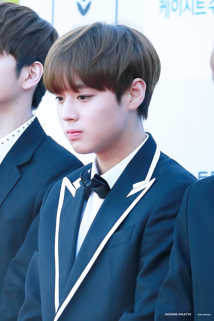 男版produce101wannaone朴志训crlogo