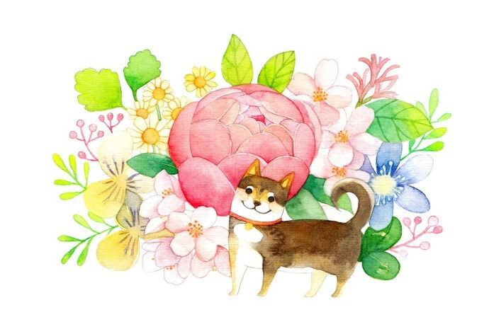 #飞乐鸟分享# 今天又是哪种花开放的日子呢？让它们帮你去瞧瞧~图自@雅Miya-ya ​​​​