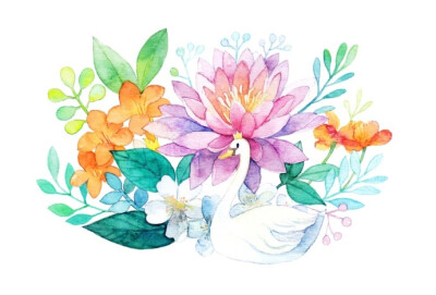 #飞乐鸟分享# 今天又是哪种花开放的日子呢？让它们帮你去瞧瞧~图自@雅Miya-ya ​​​​