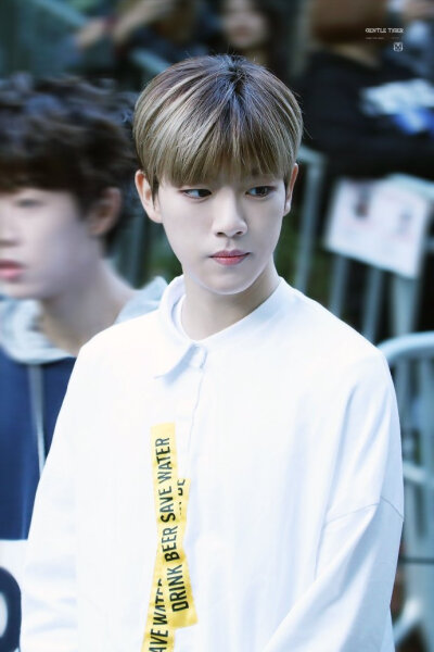 #goldenchild##金知范##奉宰铉# ​​​​