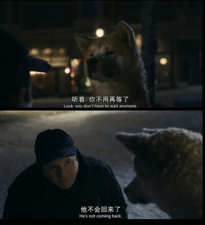 《忠犬八公的故事》