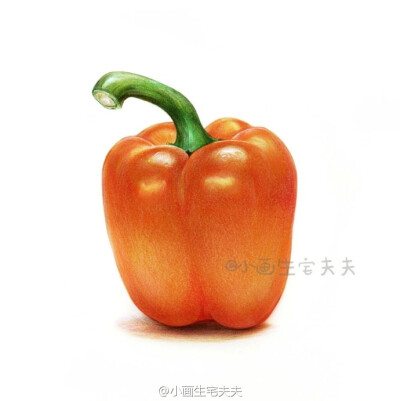 学画一颗橙色大菜椒[哆啦A梦微笑]
多画蔬多健康[二哈]
辉柏嘉