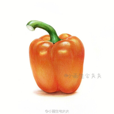 学画一颗橙色大菜椒[哆啦A梦微笑]
多画蔬多健康[二哈]
辉柏嘉