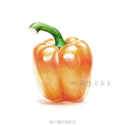 学画一颗橙色大菜椒[哆啦A梦微笑]
多画蔬多健康[二哈]
辉柏嘉