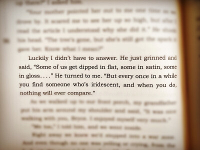 “But every once in a while you find someone who’s iridescent, and when you do, nothing will ever compare.”斯人若彩虹，遇上方知有。——《Flipped》