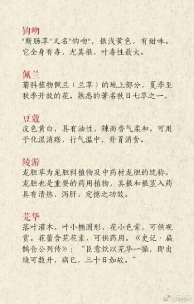 那些温文尔雅的药