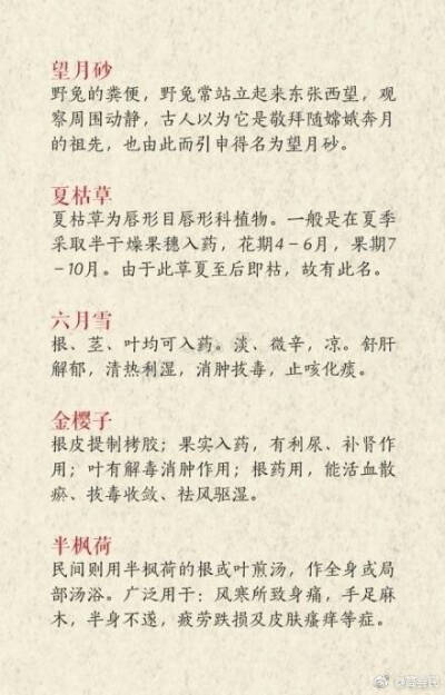 那些温文尔雅的药